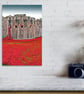 Tower Of London Red Poppy Memorial England Photograph Print - Image 4