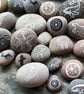 Copper Otter Stone - READY TO SHIP - Image 7