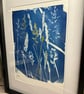 Large grasses cyanotype print