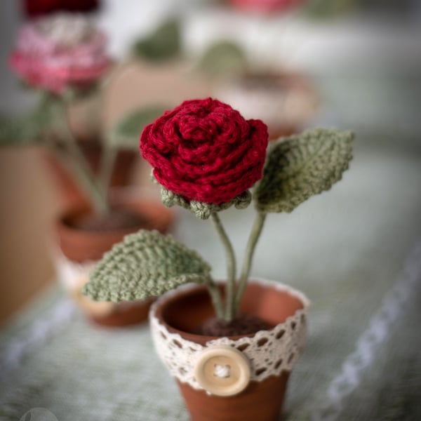 Burgundy Crochet Rose in a small Terracotta Pot
