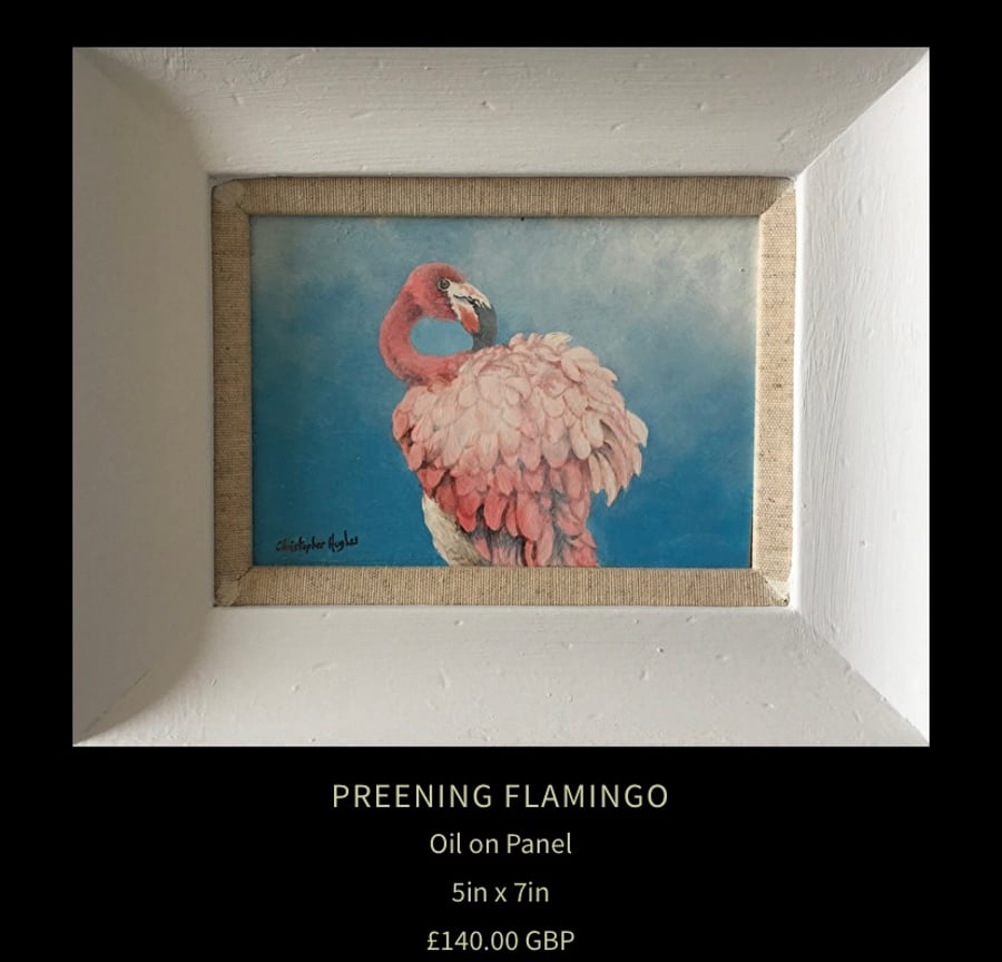 Preening Flamingo . Original oil painting by Christopher Hughes 