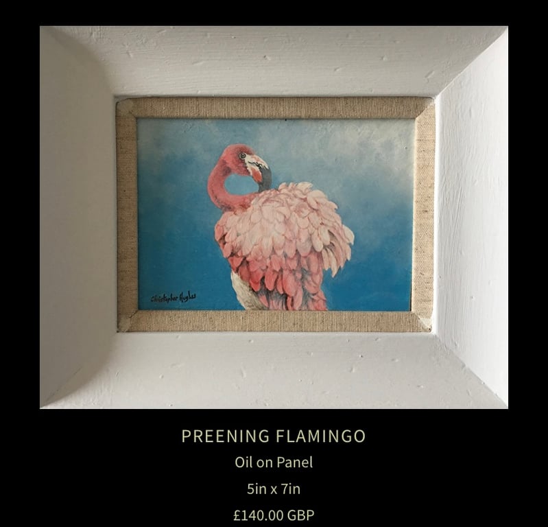 Preening Flamingo . Original oil painting by Christopher Hughes 