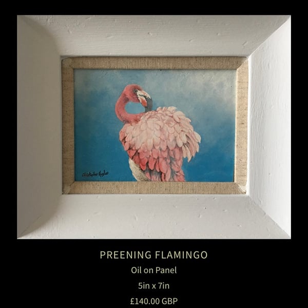 Preening Flamingo . Original oil painting by Christopher Hughes 