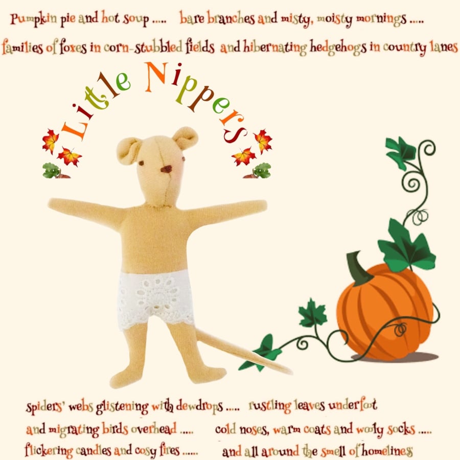 Reserved for Sue - Girl Little Nipper