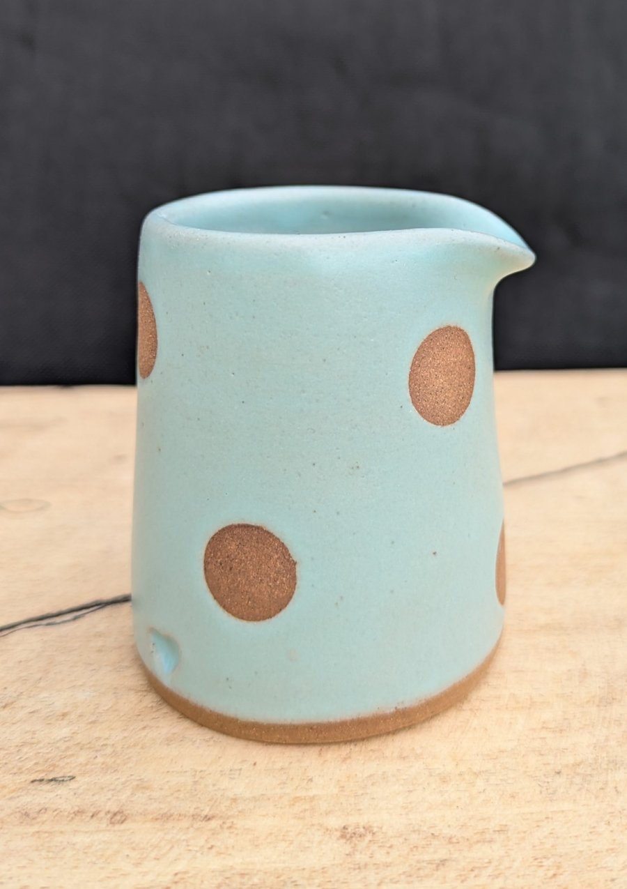 Spotty seafoam green diddy jug (toasted)
