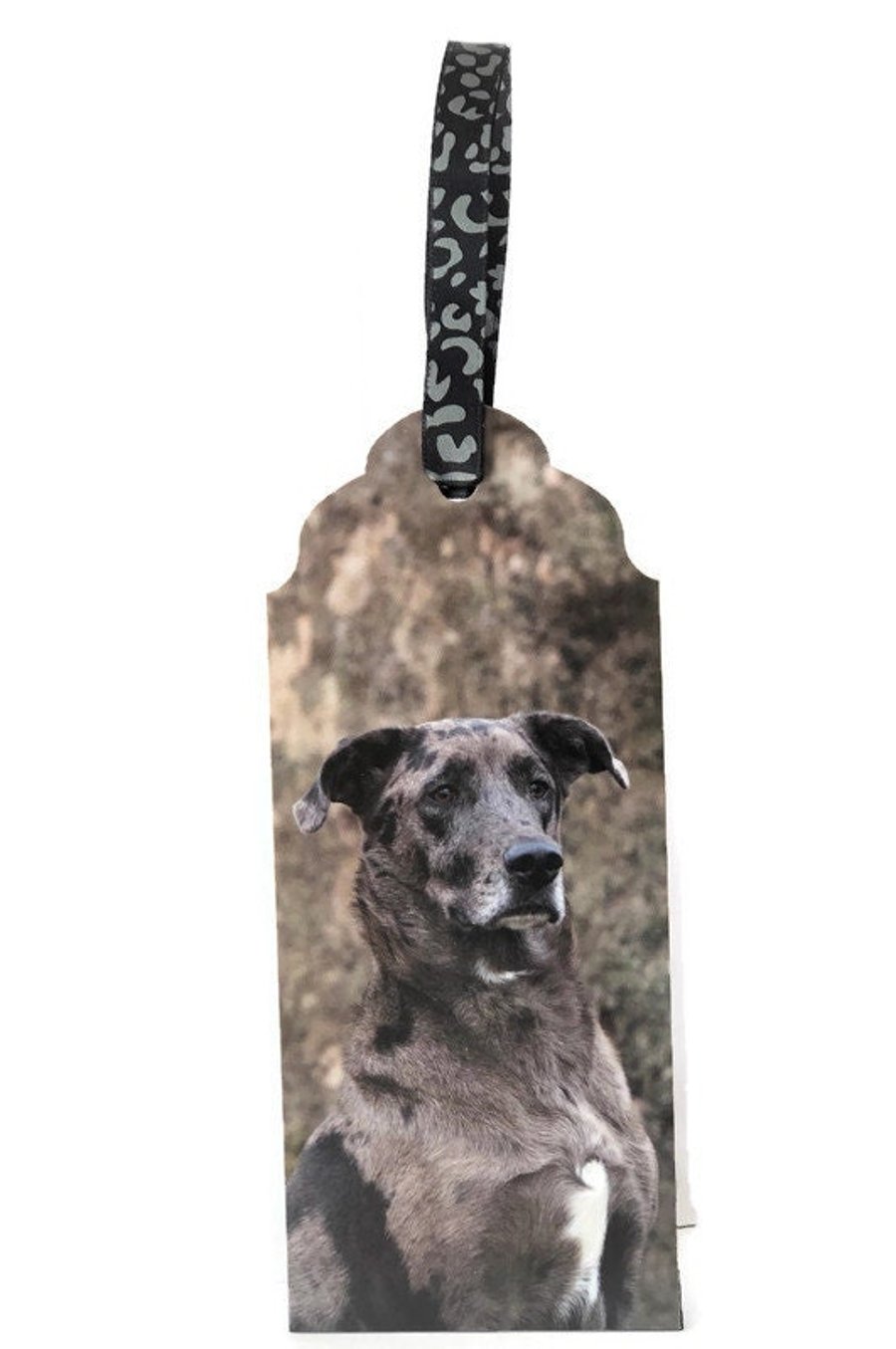 Handmade Catahoula Leopard Dog Bookmark with Ribbon