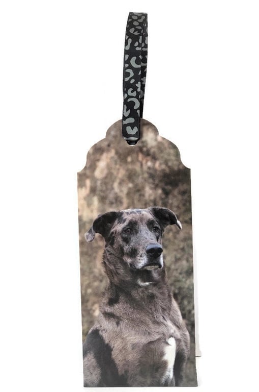Handmade Catahoula Leopard Dog Bookmark with Ribbon