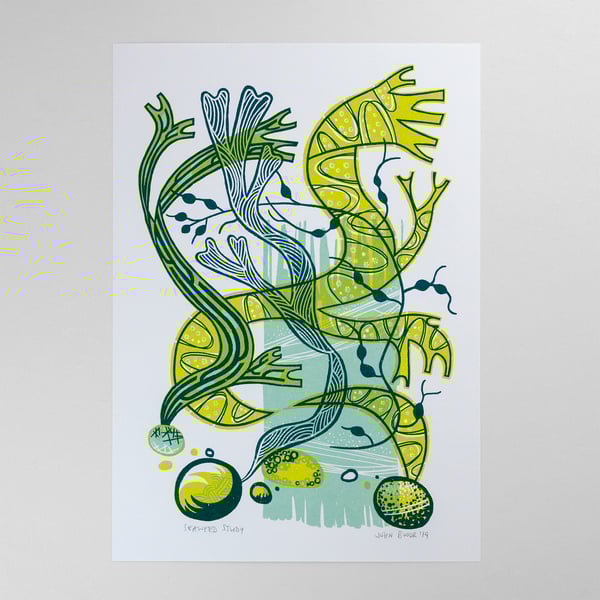 Seaweed Study coastal screen print