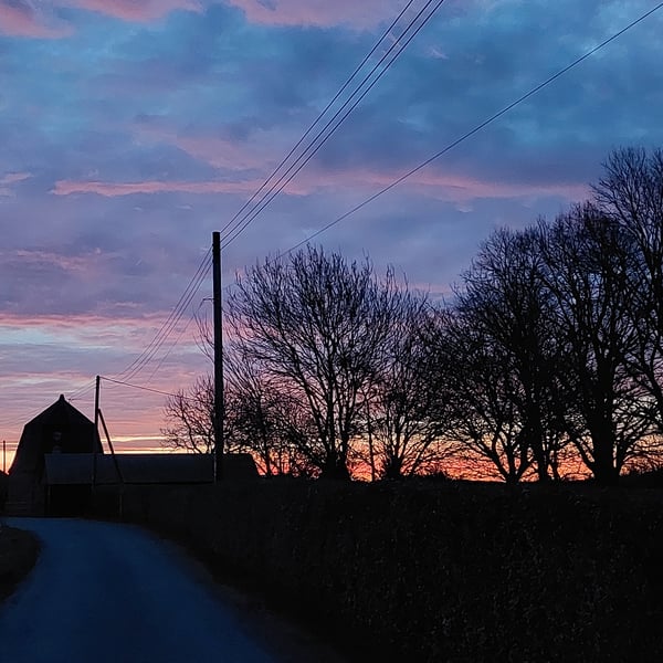 A4 Print Sunrise In Norfolk Fens March 2026