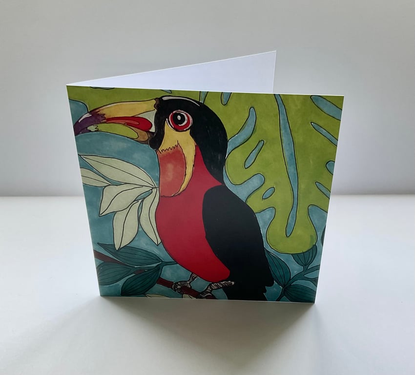 Toucan 