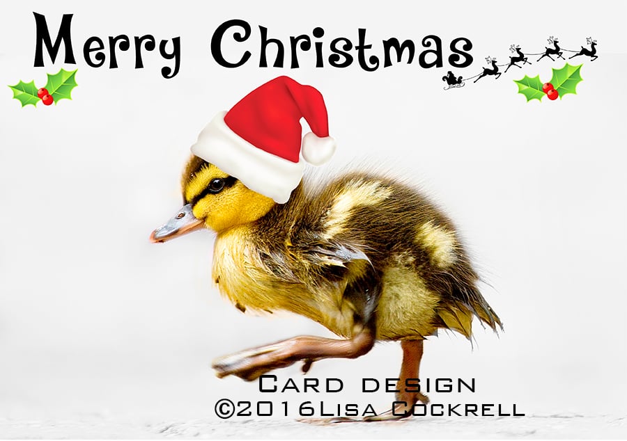 Handmade Duckling In Santa Hat Christmas Card
