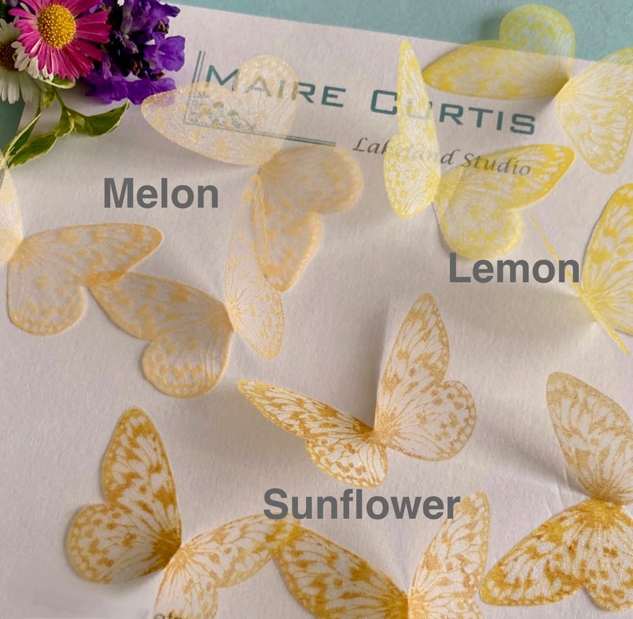 Hand printed silk butterflies in shades of yellow. Two sizes