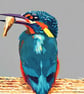 Kingfisher with Fish Greeting Card A5 - Image 1