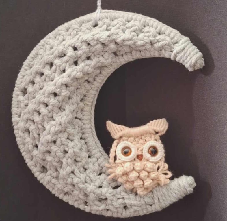 Macramé Owl on Crescent Moon, Handmade Cotton Wall Hanging, macrame, 3D moon art