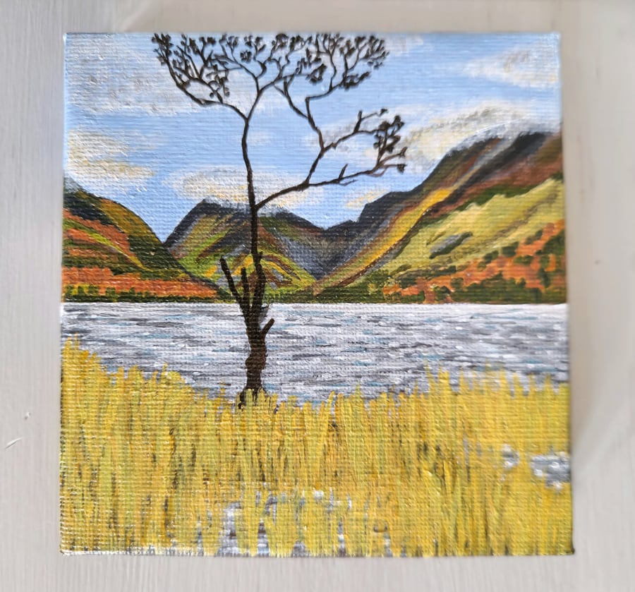 The Lone Tree at Buttermere, Lake District Miniature Acrylic Painting on Canvas