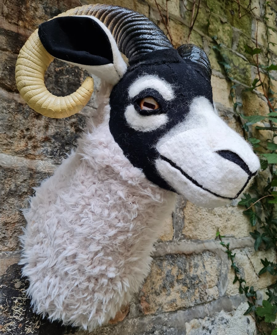 Faux Swaledale sheep head - Mr Olicana