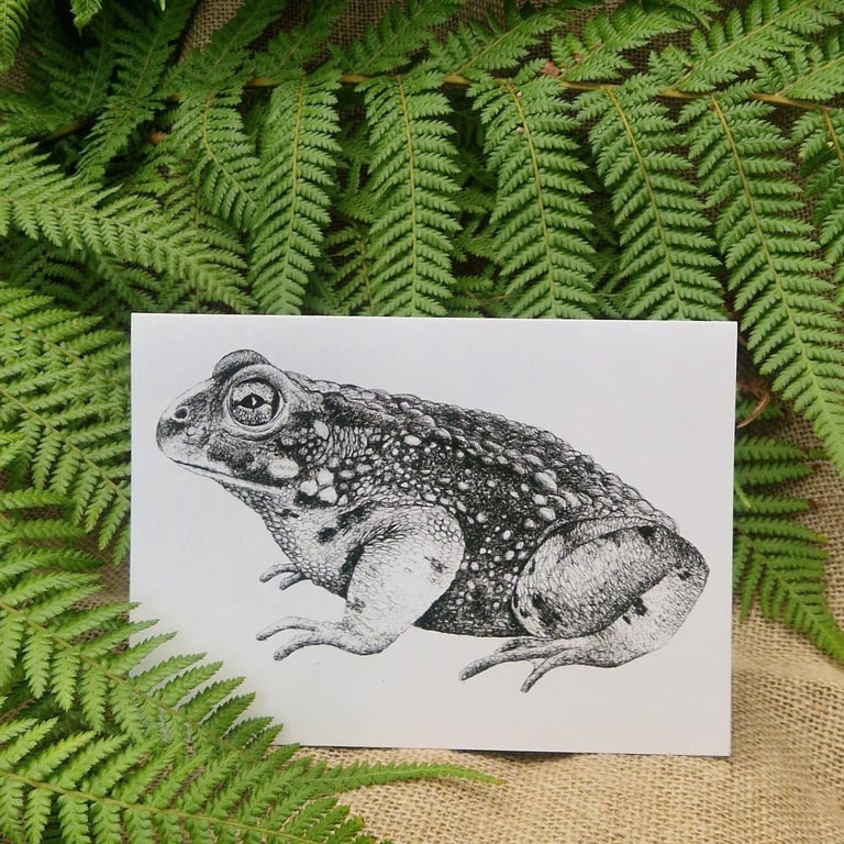 Natterjack toad card