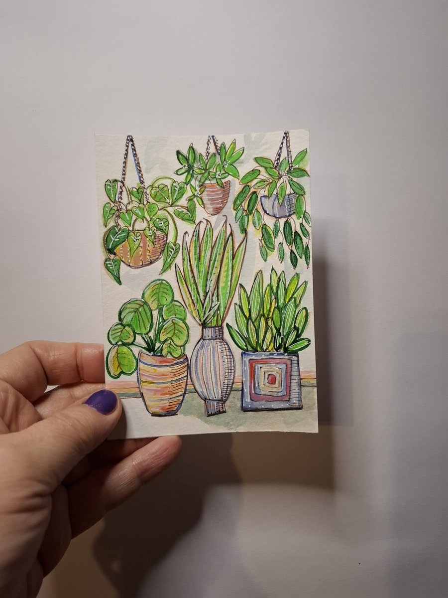 House Plant Illustration