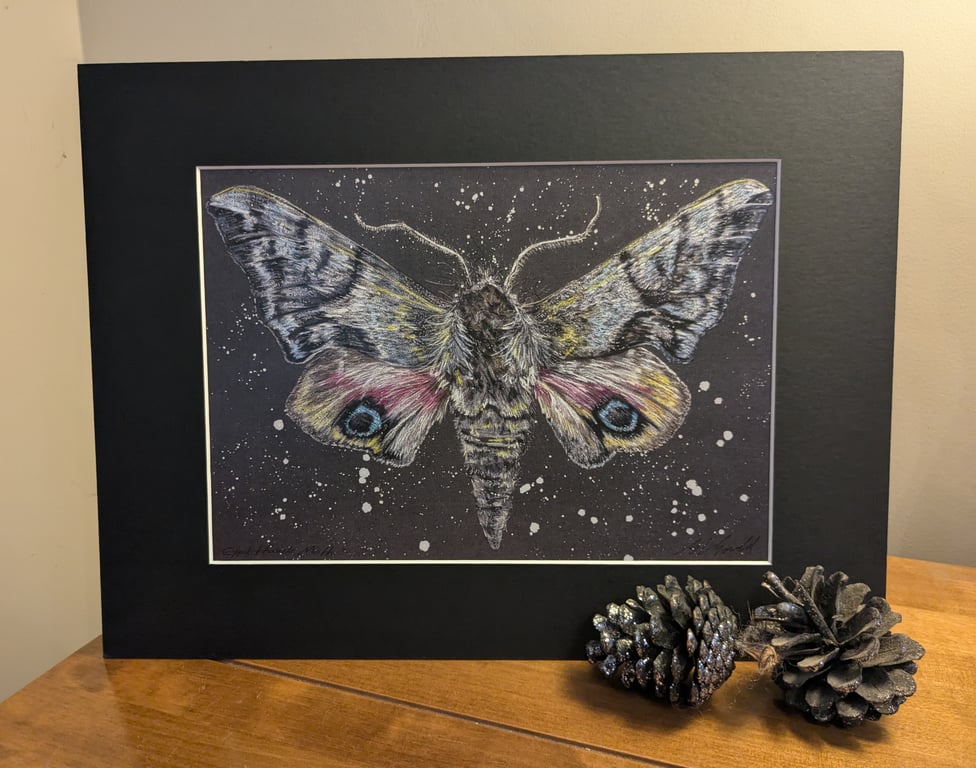 Eyed Hawk Moth, an A4 or A3 print of an original drawing