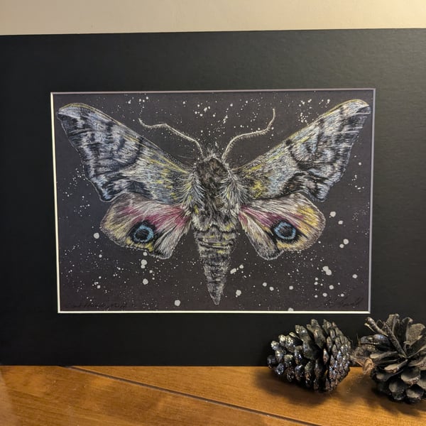 Eyed Hawk Moth, an A4 or A3 print of an original drawing