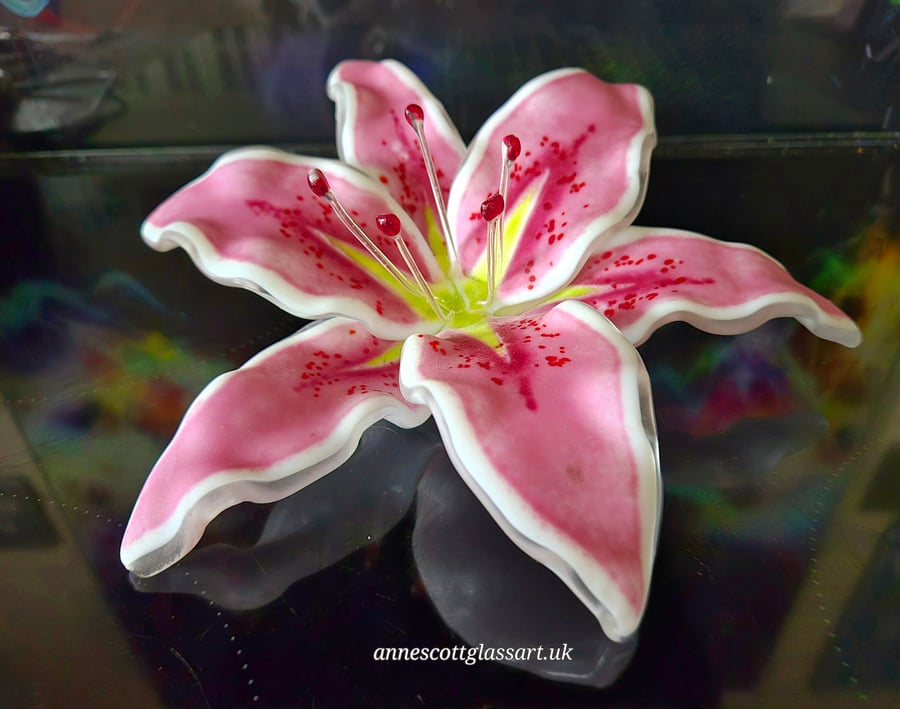 Handmade Fused Glass Pink Matte Stargazer Lily with Wall-mounting Bracket. 