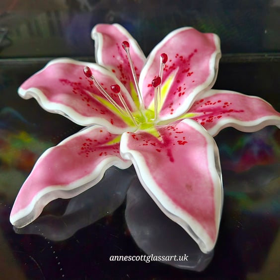 Handmade Fused Glass Pink Matte Stargazer Lily with Wall-mounting Bracket. 