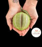 Personalized Lime Book Gift - Image 7