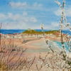 Original watercolour, St. Ives Through Spring Hawthorn
