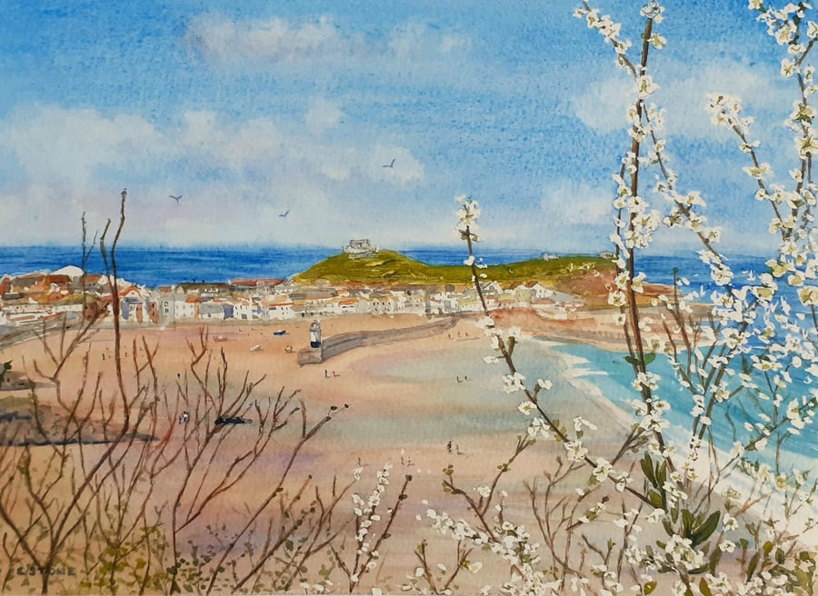 Original watercolour, St. Ives Through Spring Hawthorn
