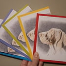 Bracco Italiano Cards