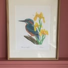 Patience of a Kingfisher A4 & A3 Eco-Friendly Art Print