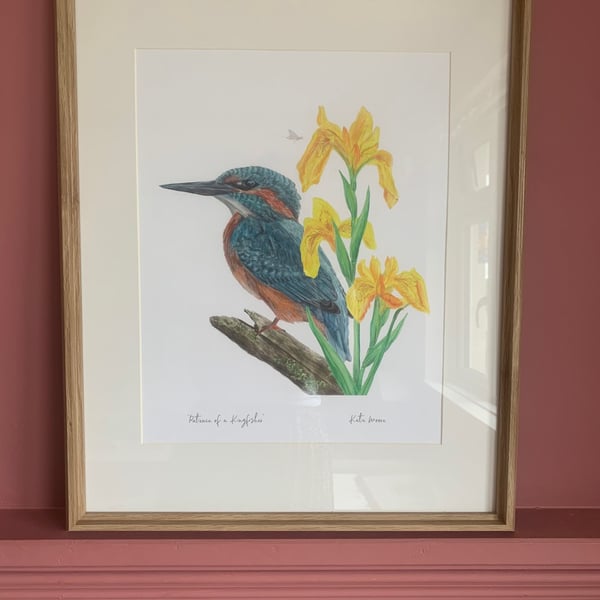 Patience of a Kingfisher A4 & A3 Eco-Friendly Art Print