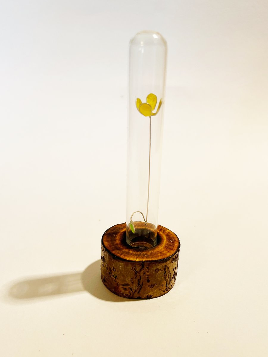 Tiny flower in a display dome. freestanding sculpture