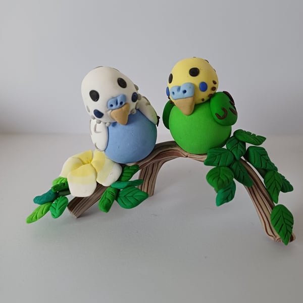2 budgies on a branch 