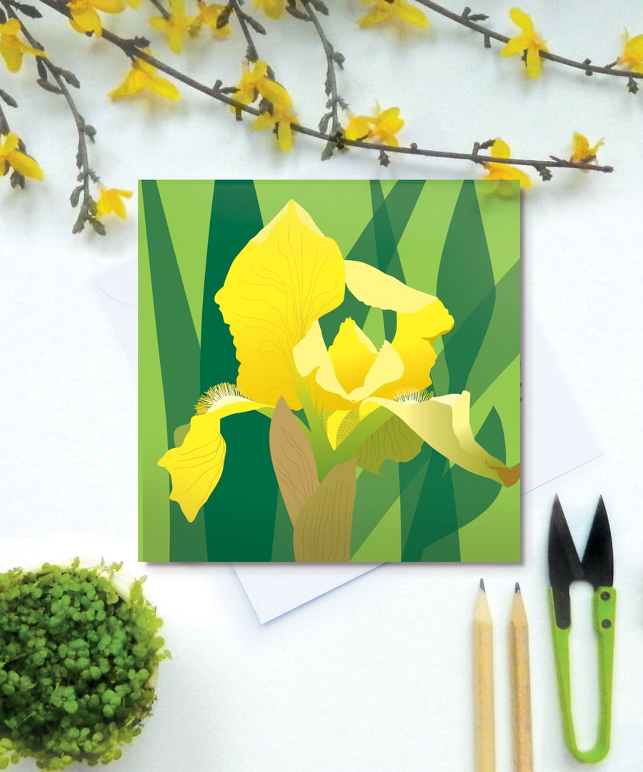Yellow Bearded Iris card - Spring, flower, blank card