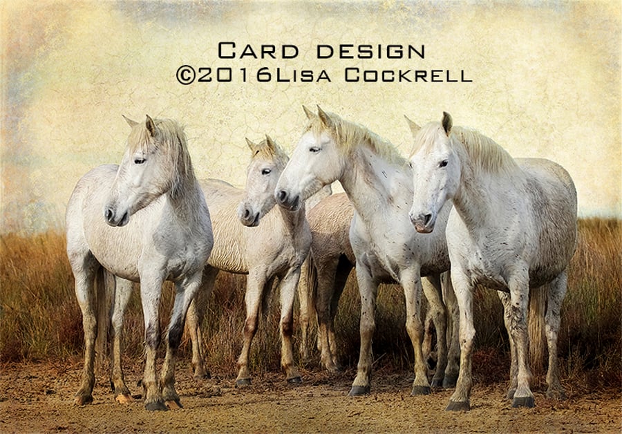 Exclusive Camargue Horses Standing Greetings Card