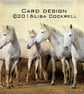 Exclusive Camargue Horses Standing Greetings Card - Image 1