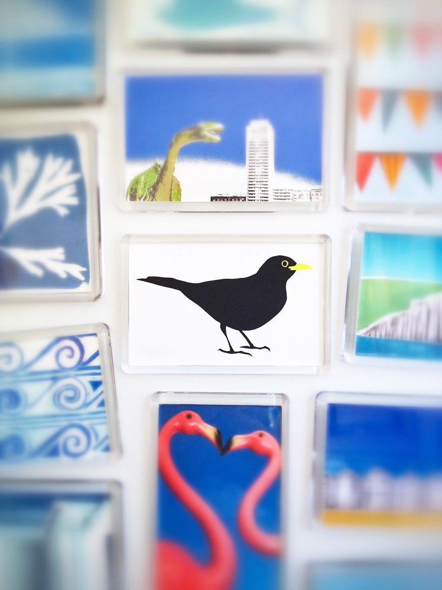 'Blackbird' fridge magnet