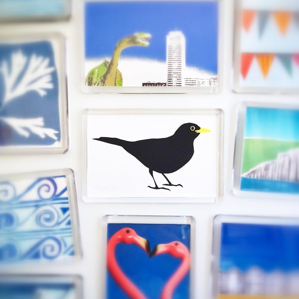 'Blackbird' fridge magnet