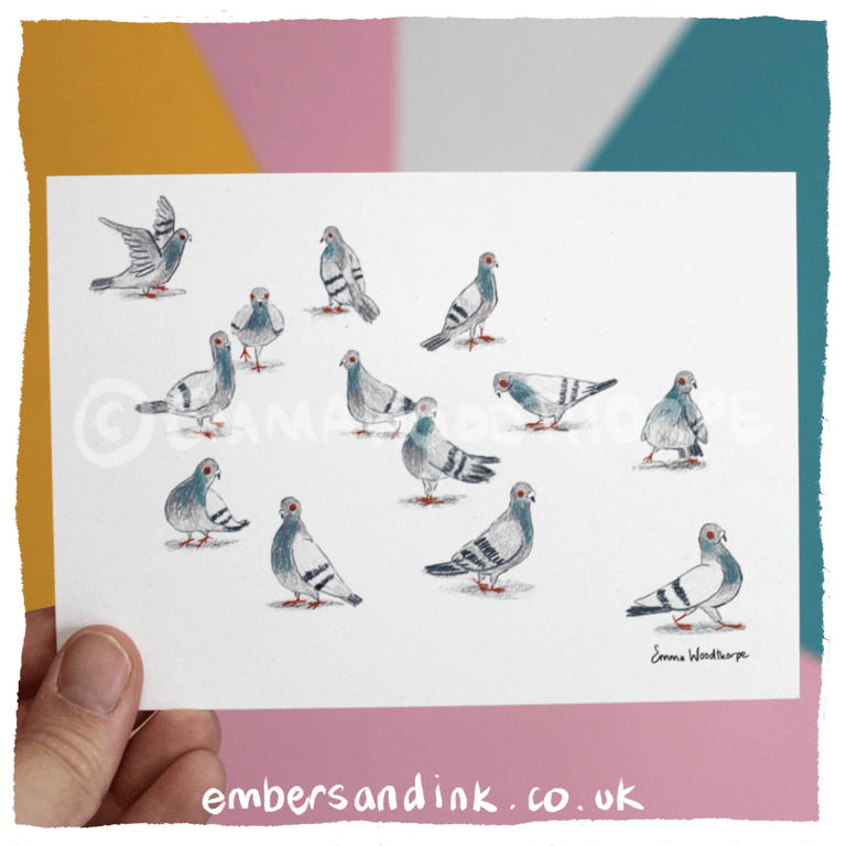 Many Pigeons Postcard