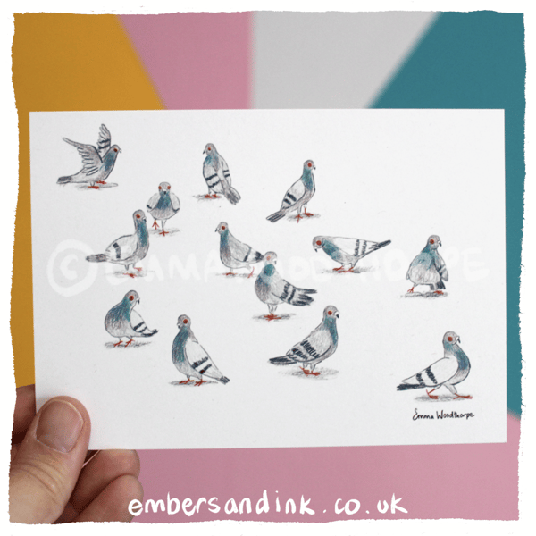 Many Pigeons Postcard