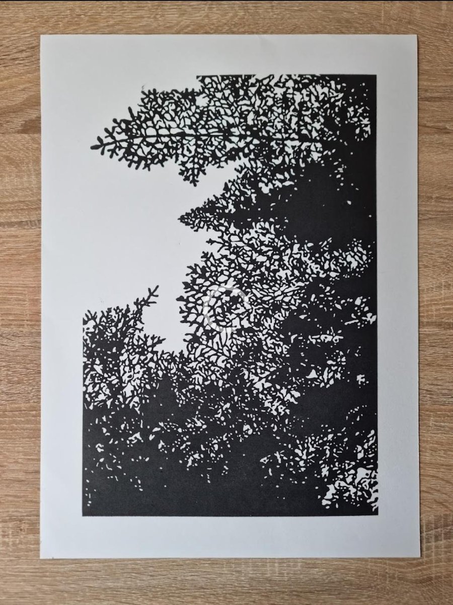 Ardkinglas Woodland Open Edition Linoprint Forest Collection