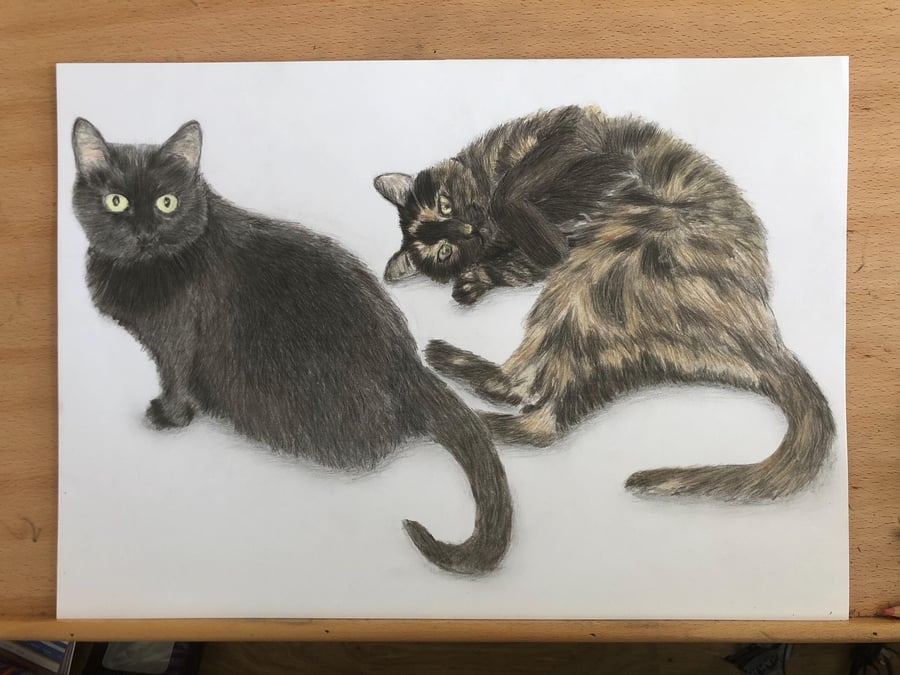 A3 Custom pet portrait for two pets made with coloured pencil