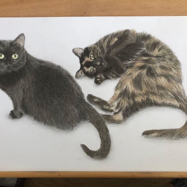 A3 Custom pet portrait for two pets made with coloured pencil