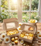 Daisy Perfume Inspired Wax Melts, Handmade, Vegan,Cruelty Free, Uk Handmade