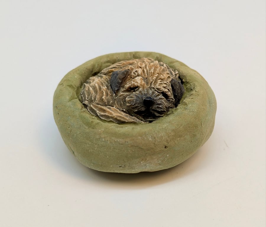 Yorkshire Pudding Border Terrier (green bed)
