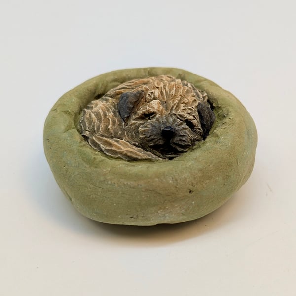 Yorkshire Pudding Border Terrier (green bed)