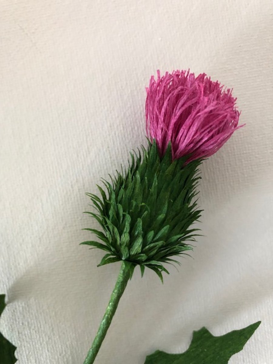 Paper Scottish thistle