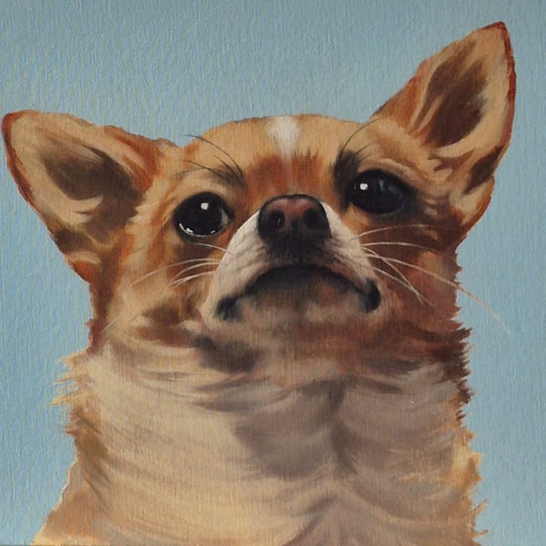 Chihuahua portrait. Oil on canvas board. 30.5 x 25.5 cm