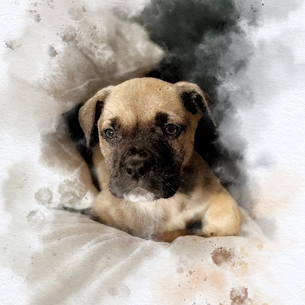 Watercolour-Style Pet Portrait From Photo, Dog Portrait, Custom Pet Print